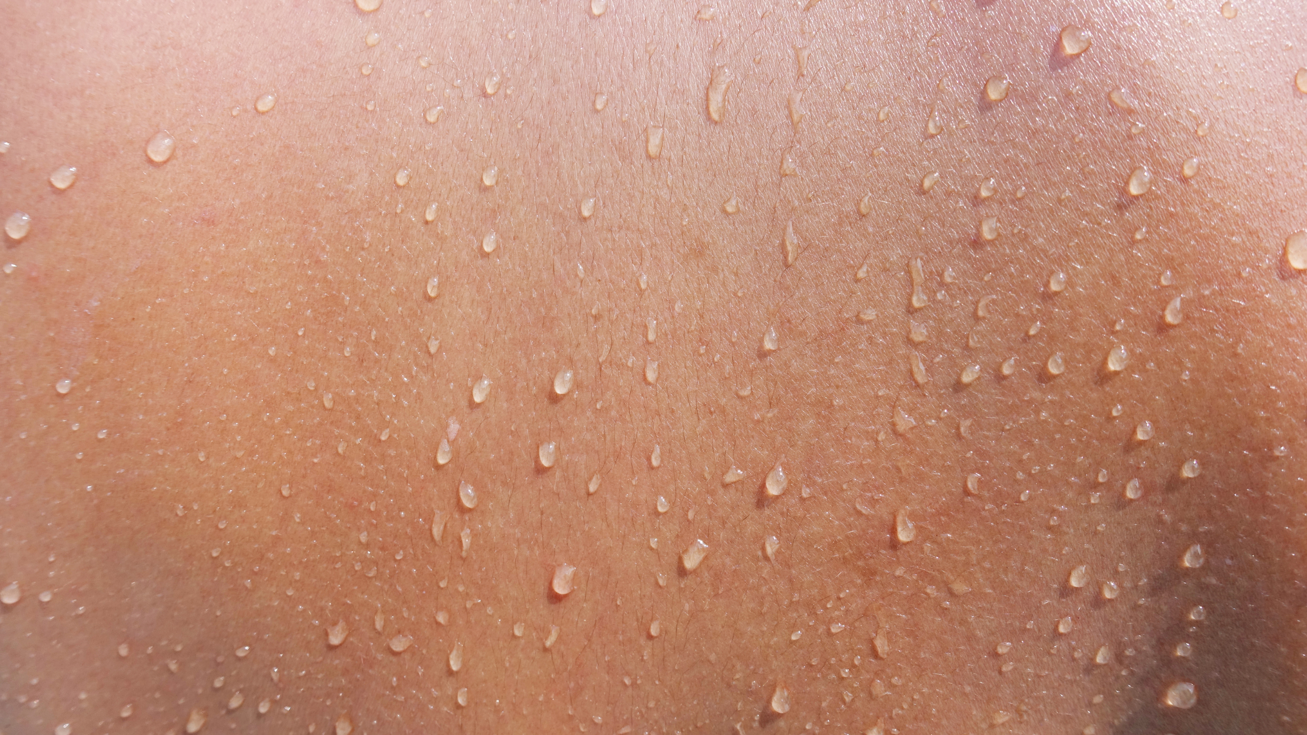 How To Create A Skin Barrier For Winter – everbella